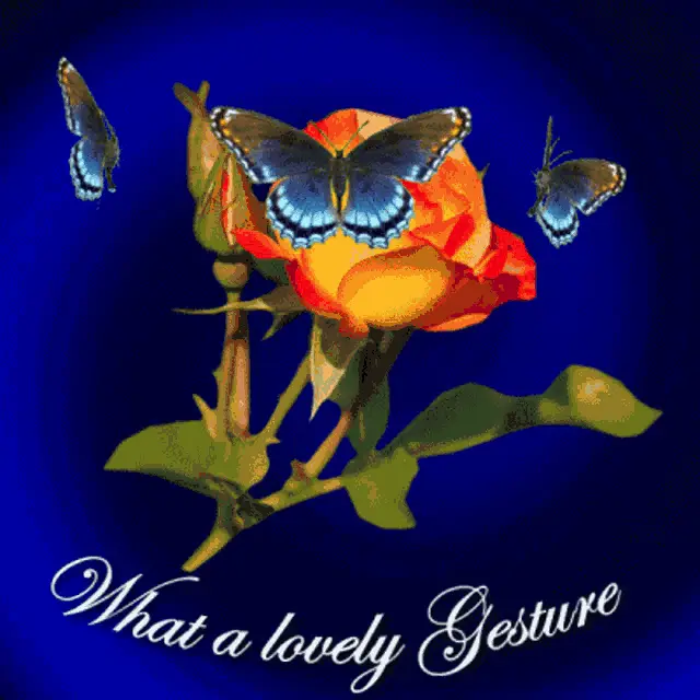 What A Lovely Gesture: Rose & Blue Butterflies
