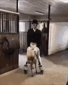 Pony Ride Back Ride