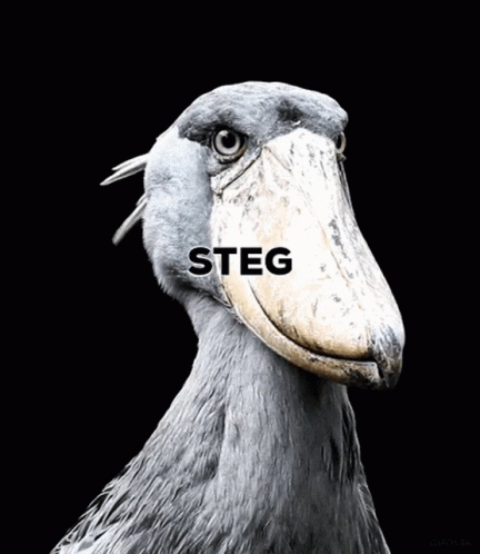 Animated Green Bird with 'STEG' on its Body