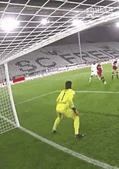 Goalkeeper's Incredible Football Save