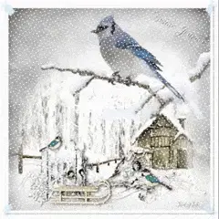 L'Hiver des petits oiseaux