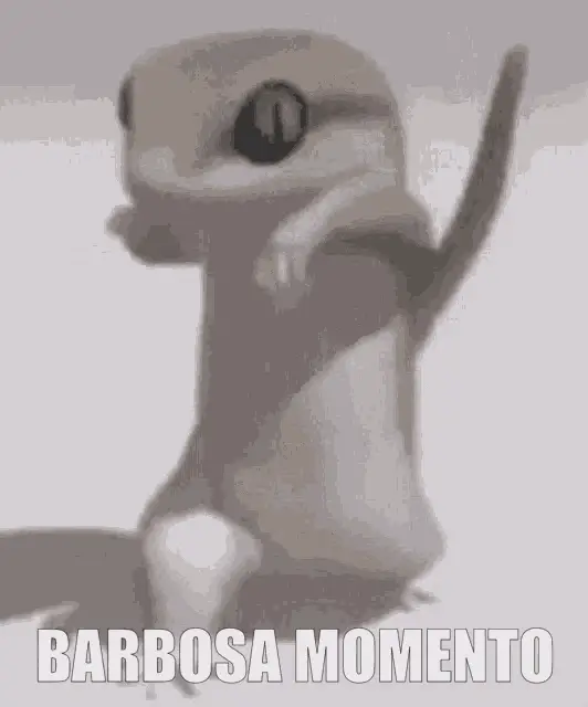 Barbosa Momento