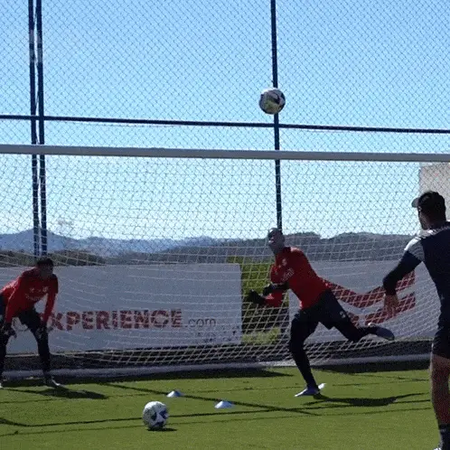 Goleiro Tocando A Bola: Defesa