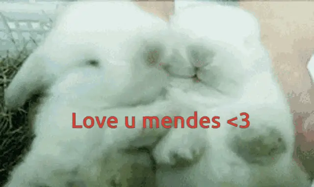 Love You Mendes: Adorable Rabbits