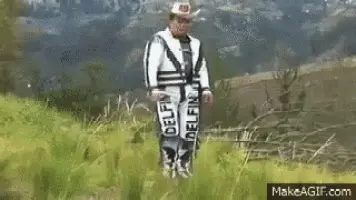 El Baile Del Delfin