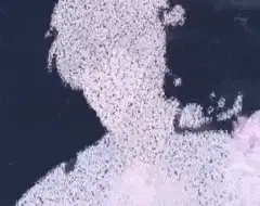 zu