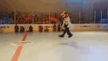 Pittsburgh Penguins Iceburgh