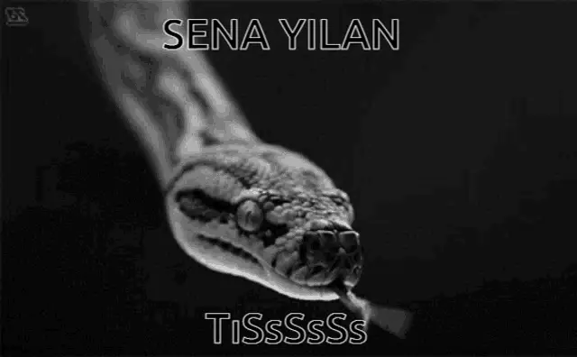 Sena Yılan: Snake Hissing
