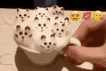 Foam Kitties