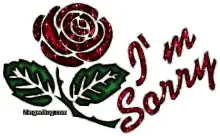 Red Rose Sorry