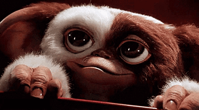 Gremlins: Cute Gizmo Close-Up