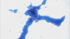 Gohan Kills Cell - Remastered 720p