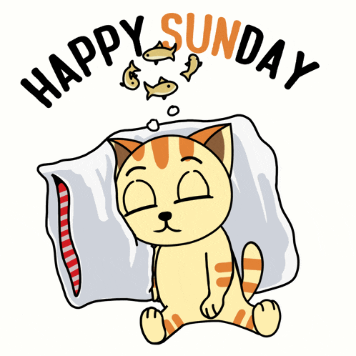 Purrlene The Cat: Happy Sunday Sleep