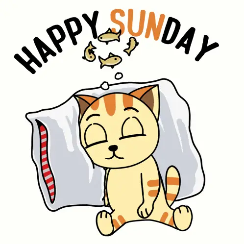 Purrlene The Cat: Happy Sunday Sleep – free GIF download | meme platform | memes GIF