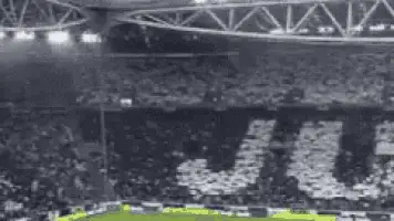Juventus Fans Form 'JUVE' in Stadium