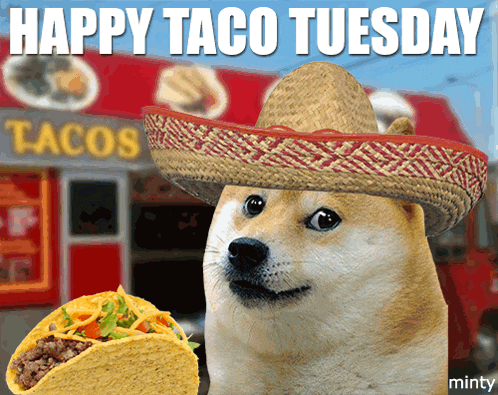 Doge Celebrates Happy Taco Tuesday