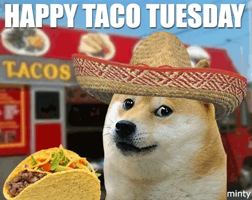 Doge Celebrates Happy Taco Tuesday – free GIF download | meme platform | memes GIF