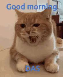 Das Morning