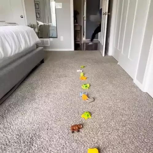Daniel Labelle's Fast Cleaning Challenge