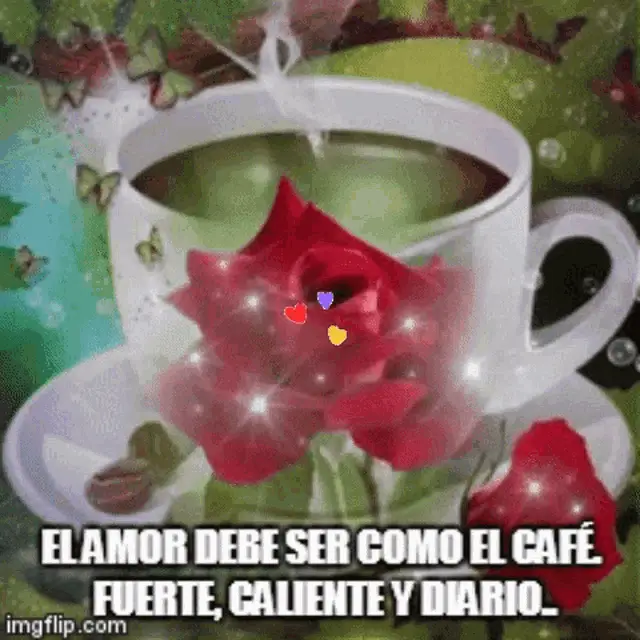 Cafe Rosa: Amor Fuerte y Diario