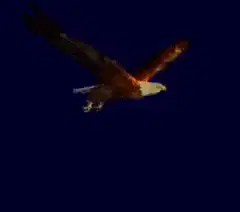 Halcon Der.