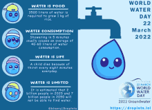 World Water Day 2022: Droplet Binary Infographic
