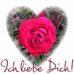 Zum ersten Bild