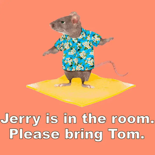 Jerry the Mouse on Cheese: Bring Tom