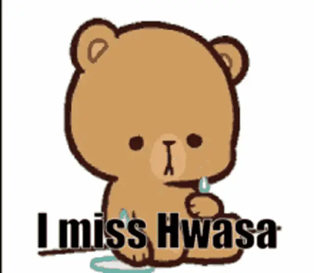Crying Bear 'I Miss Hwasa' Meme