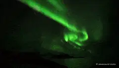 SenjaArc