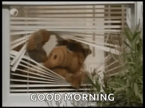 Alf na Janela