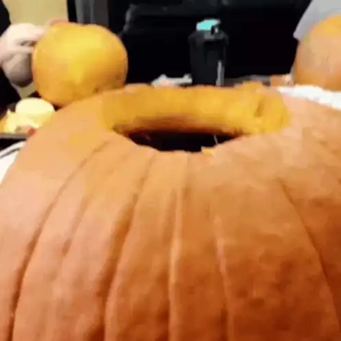 Kitty in a Pumpkin