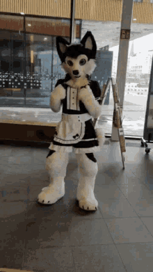 GIF