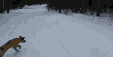 GIF uploaded by Sky