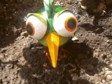 Angry Bird Eyes