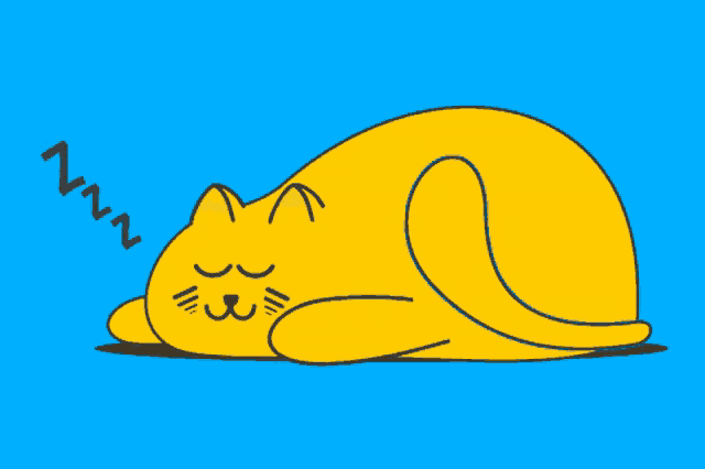 Cute Cat Sleeping Peacefully