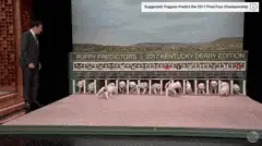 Friends Fur-Ever
