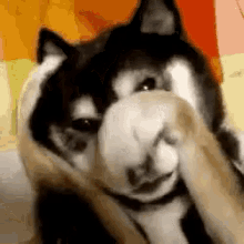 GIF uploaded by Vector