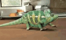GIF