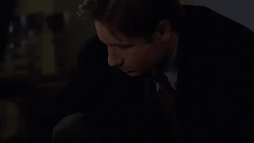 Fox Mulder: Maybe That's The Point - X-Files S5E11