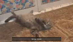 Best Of Fails 2015 Part 3 (Best Fails/Wins of the year!)