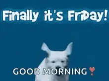 Happy Friday