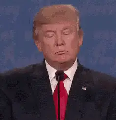 Donald Trump at Presidential Debate
