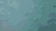 Water Everywhere Red Bull