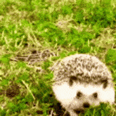 GIF gi-upload ni Joshua