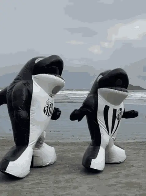 Mascotes do Santos FC Dançam na Praia