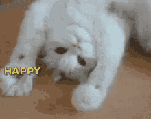 GIF