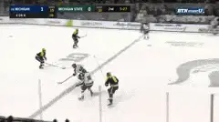 mich state fri 2