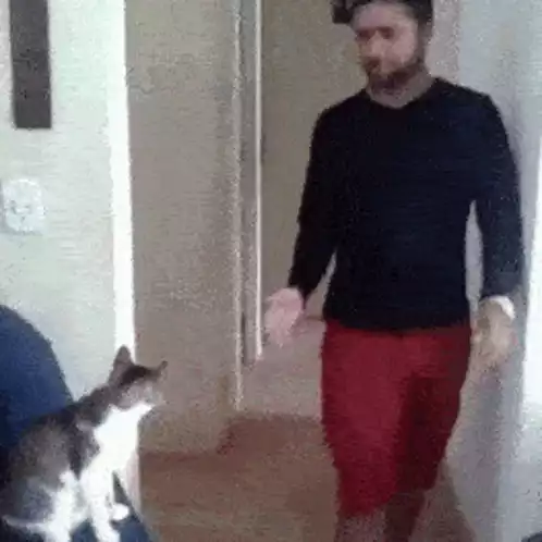 Man and Cat High Five
