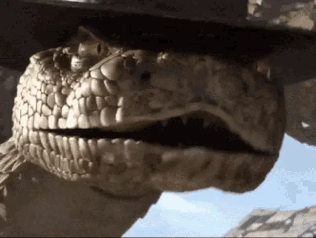 Rango: Rattlesnake Jake's Menacing Gaze